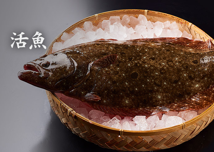 活魚